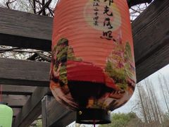 -上海醉白池公园