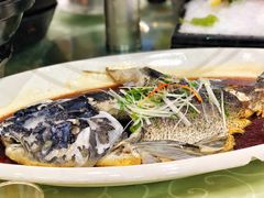 -雅和生态渔庄·宜城锅巴饭(龙灵山公园店)
