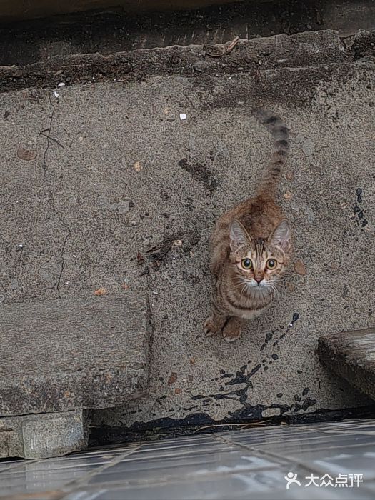 湖南工业大学(主校区（河西校区）)图片
