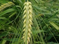 -房山世界地质公园博物馆