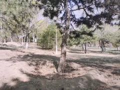 -绿堤公园