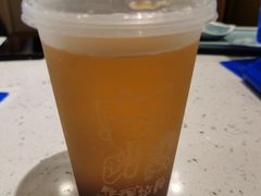 冻顶冰晶蜜桃乌龙茶-华辉拉肠(宝华店)