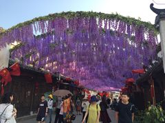 -婺源梦里老家大型山水实景演出