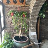 江南菜馆