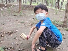 -大兴滨河森林公园