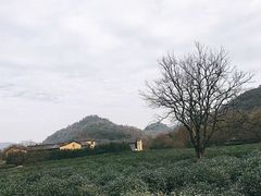 -法云古村