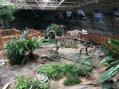 -中国第四纪冰川遗迹陈列馆