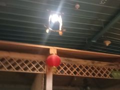 -老阿妈蒙古村·蒙古包·草原文化·歌舞表演(老君堂店)