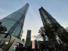 -上海柏悦酒店