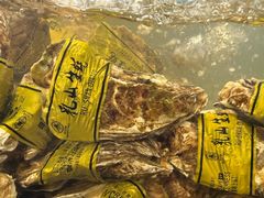 -炉队长·齐齐哈尔家庭烤肉(马家堡店)