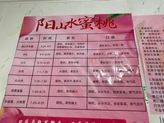 -老袁家蜜桃农场·阳山水蜜桃