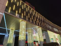 -鹏欣水游城
