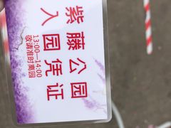 -嘉定紫藤园