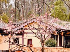 -东湖磨山景区