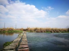 -中国天府农业博览园