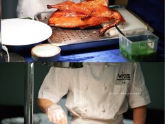 -梧桐Plus·创意京·川料理(万象城店)