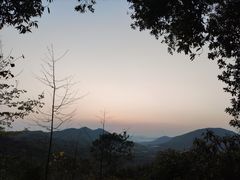 -风云岭森林公园