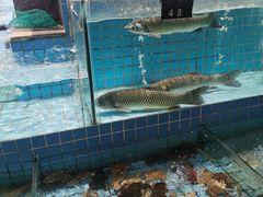 -北戴河转鱼·炒螃蟹酱餐厅