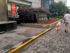 -同济大学附属口腔医院