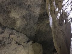 -水洞沟旅游区