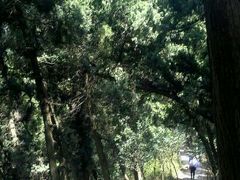 android_upload_pic-金堂县云顶石城风景区