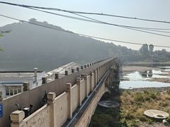 -燕塞湖鸟语林景区