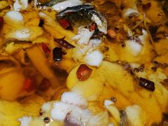 -雲蜀龙阁·金牌水煮鱼(方庄店)