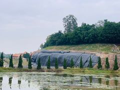 -三水森林公园