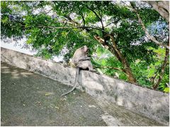 -乌鲁瓦图寺