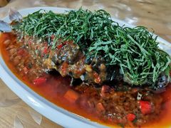 -老字号怡玺·藿香雅鱼(20年雅安店)