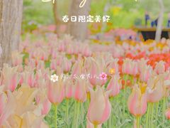 -国家植物园