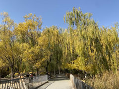 -青城公园