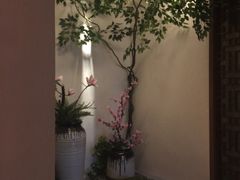 -韵道养生.足道.按摩.SPA(古美店)