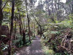 -夏威夷火山国家公园