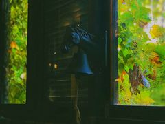 -斯多格书乡(北京大学畅春园店)