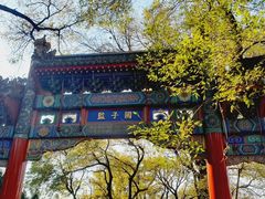 -北京国子监胡同