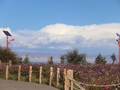 -青海湖国家重点风景名胜区