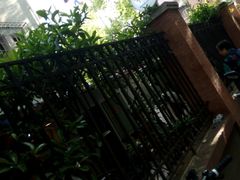 -璐坊粽王(复兴中路店)