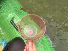 -增城大丰门漂流