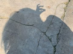 -凤凰山公园-龙王古庙