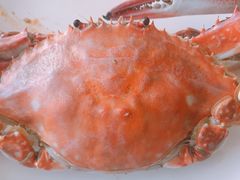 -港畔赶海蒸汽海鲜烧烤自助(仙螺岛店)