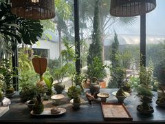 -自由生长植物工作室(深港花卉中心店)