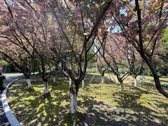 -苏州河梦清园环保主题公园