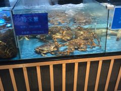 水产区-都市阳光海鲜城(青山湖店)