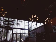 门面-桉树林A coffee 森林餐厅(三圣乡店)
