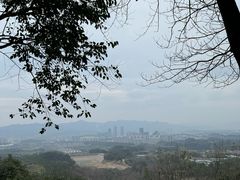 -大奇山国家森林公园