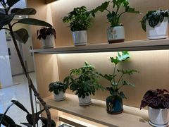 -CoCo都可(吾悦店)