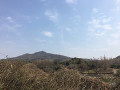 -三百碗宝应长鱼面(板仓街店)