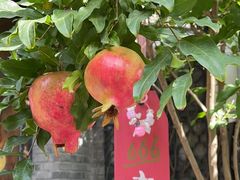 -四喜小胖·北京涮肉(五道营店)