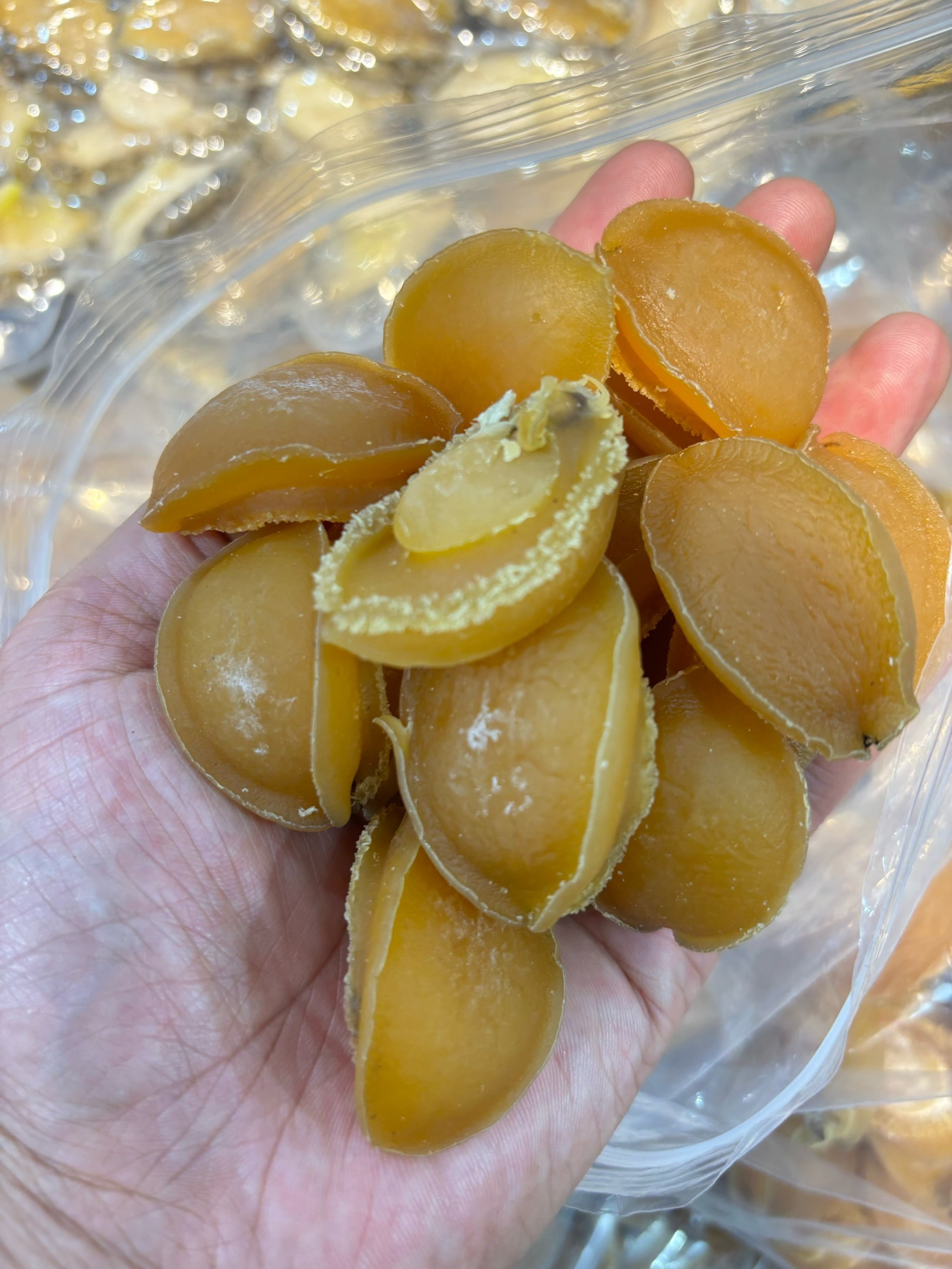 大连特产爆肝攻略!海鲜干货➕樱桃➕文创➕贝壳